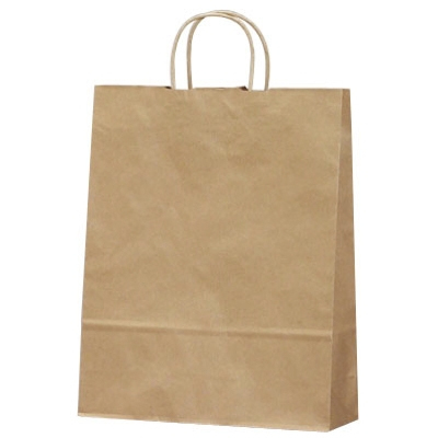 ササガワ　手提ゲバッグ 未晒 大 [50枚袋入]