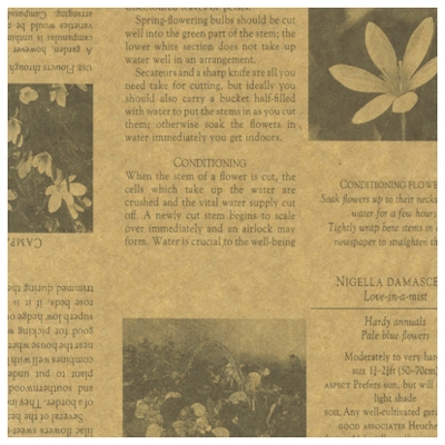 ササガワ　包装紙　カーディアングレー茶　半才判　[50枚袋入]