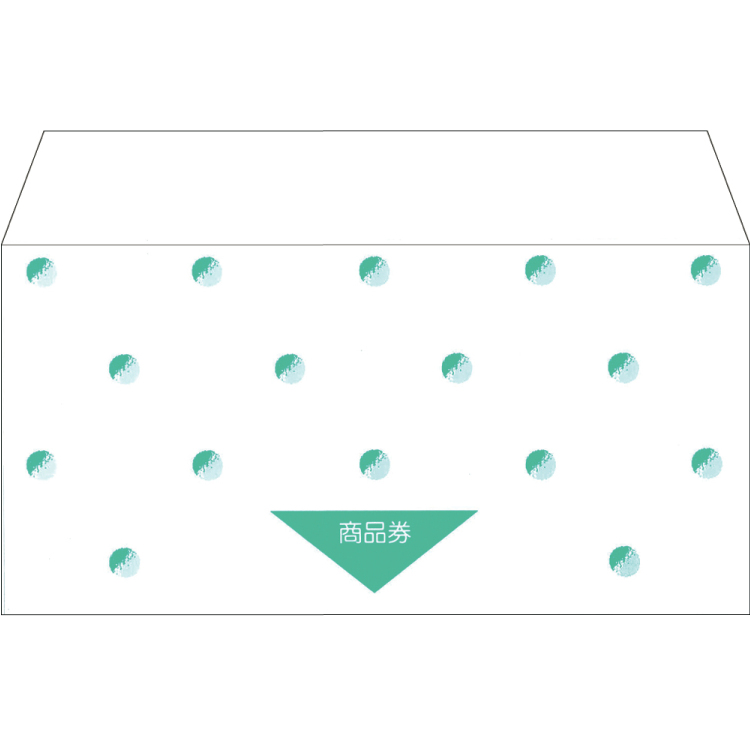 ササガワ 商品券袋 横封式 商品券字入