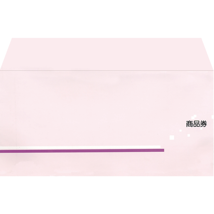 ササガワ 商品券袋 横封式 商品券字入