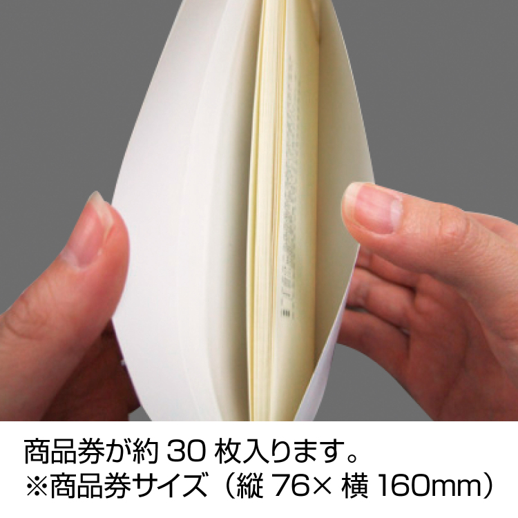 ササガワ 商品券袋 横封式