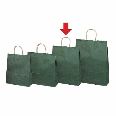 ササガワ　手提ゲバッグ 10Pエメラルド 大 [10枚袋入]