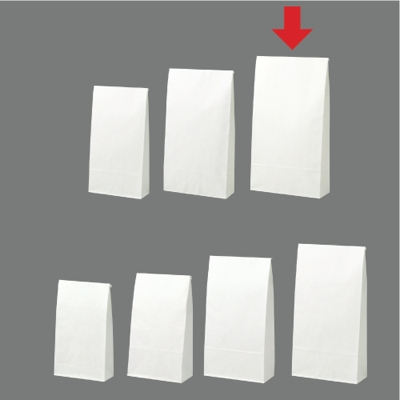 ササガワ　ギフトバッグ 角底袋20Pシロ 無地 [20枚袋入]