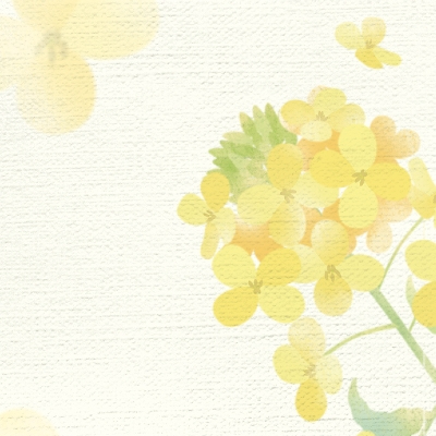 ササガワ　和柄用紙　和ごころ　菜の花　[10枚袋入]