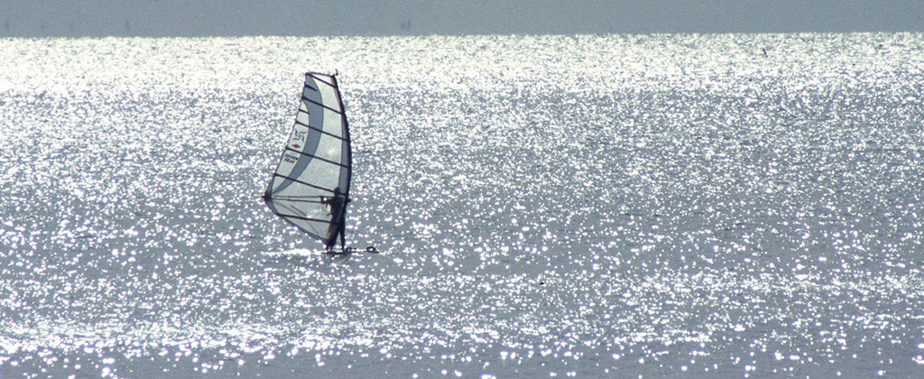 ウインドサーフィンをする人