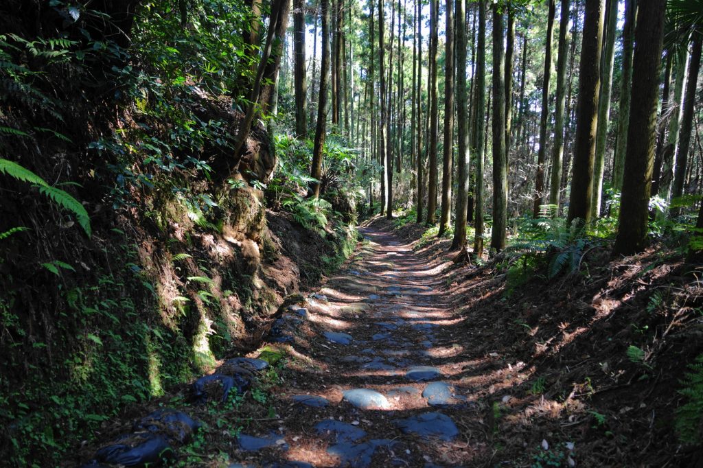 鎌倉の高級住宅街はどの辺り 自然と歴史を感じる鎌倉の高級住宅地に住むメリット デメリットをご紹介します 湘南素敵暮らし 湘南の不動産情報なら明治地所
