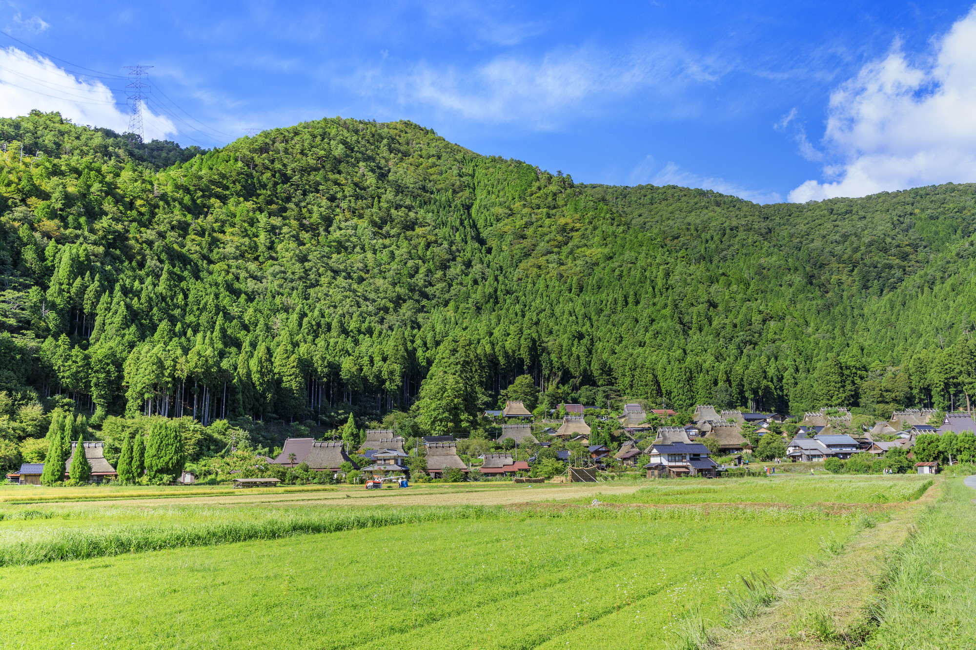 都内から移住生活を悩んでいる方必見 移住生活にまつわる悩み事や住むメリットなどご紹介します 湘南素敵暮らし 湘南の不動産情報なら明治地所