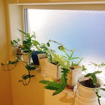 Photo : Sharing Facitlity - ★築浅★駅近★高円寺★敷礼更手数料不要★女性限定★禁煙★