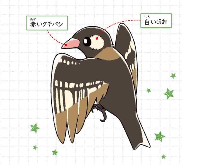 ノドグロミツオシエ