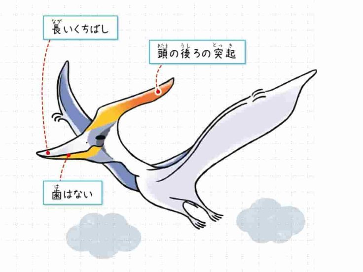 プテラノドン