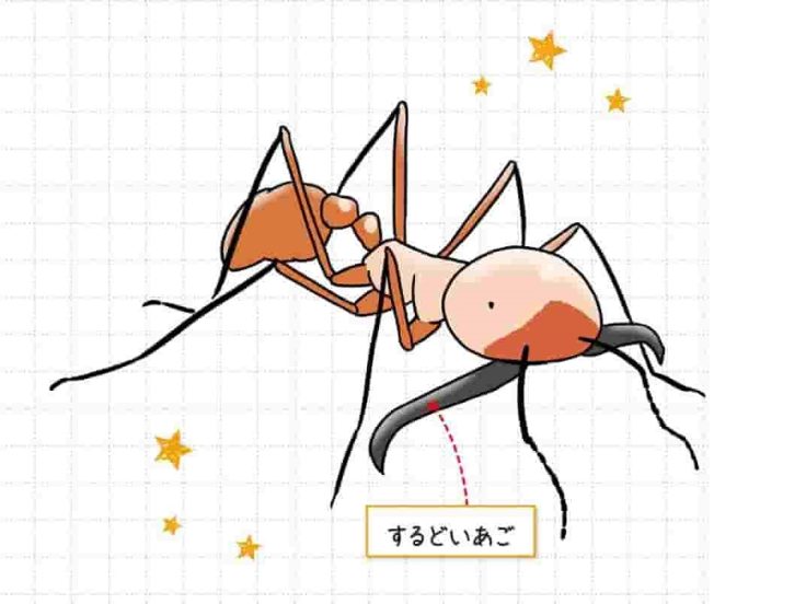グンタイアリ