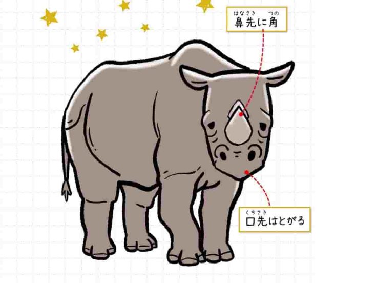 クロサイ