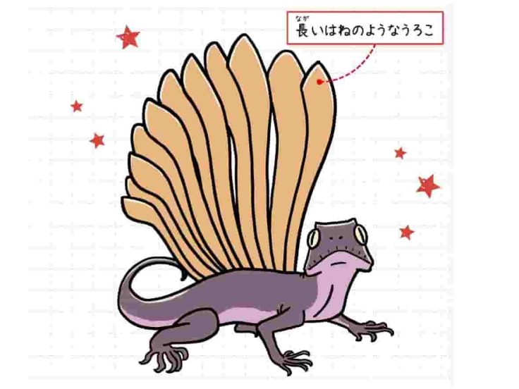 ロンギスクアマ