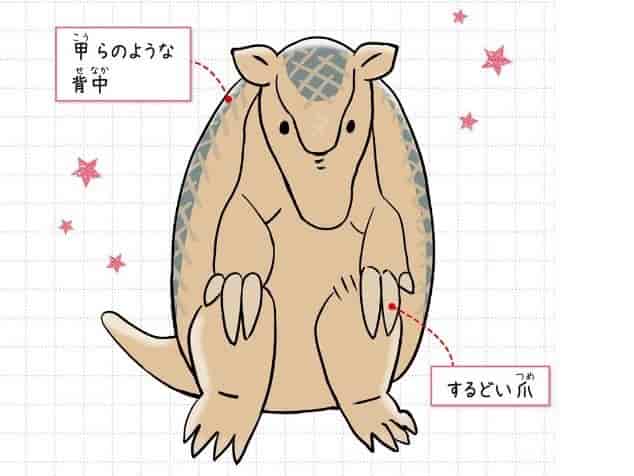 オオアルマジロ