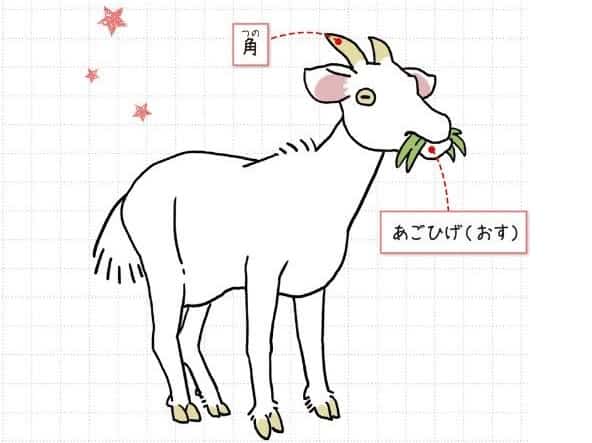 ヤギ