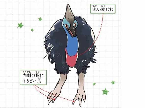 ヒクイドリ