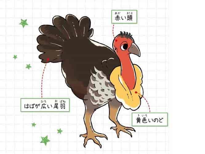 ヤブツカツクリ