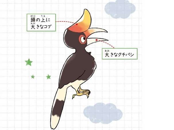 サイチョウ