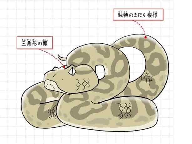 ハブ
