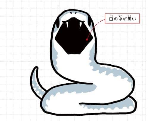 ブラックマンバ
