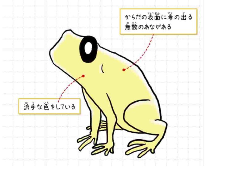 モウドクフキヤガエル