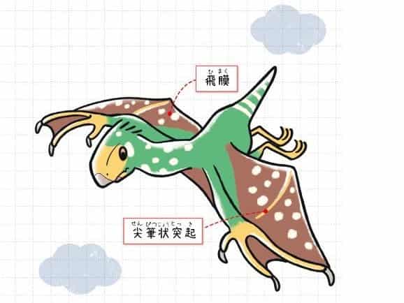 イー