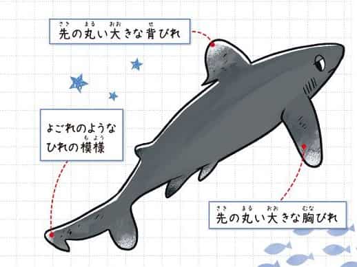ヨゴレ
