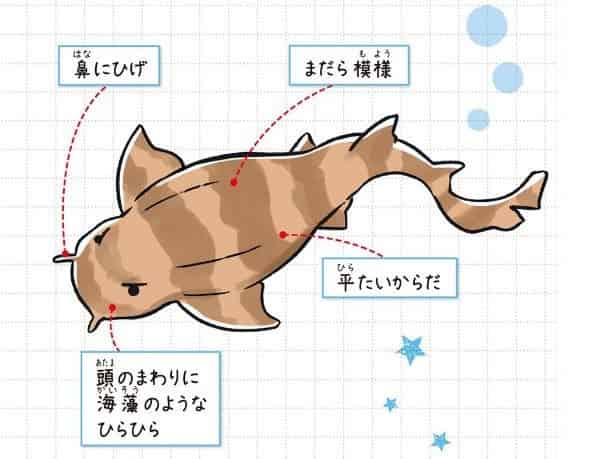 オオセ
