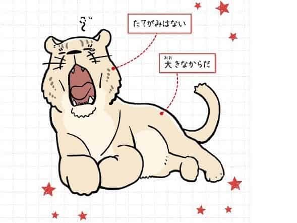 ホラアナライオン