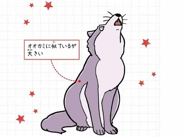 ダイアウルフ