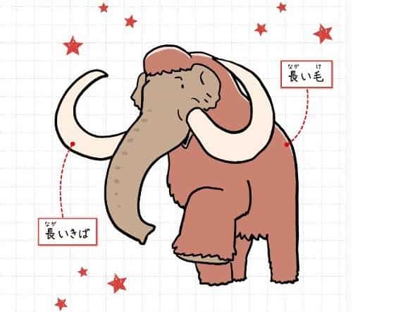 ケナガマンモス