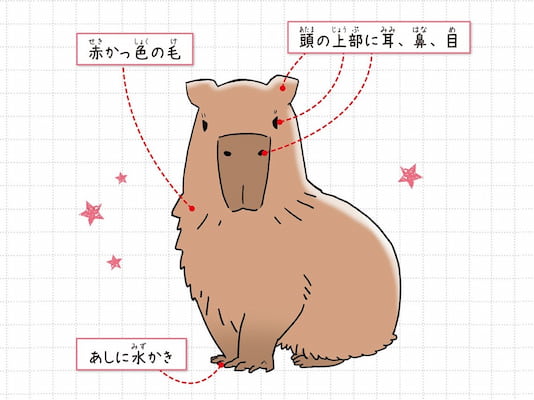 ログインで読めない_公開期間外