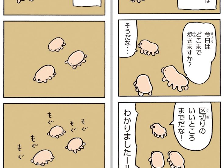Ep239