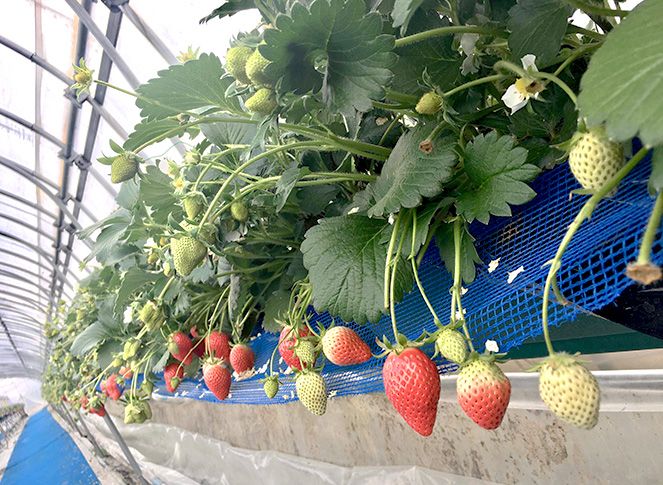 まちと里山の距離が近くアウトドア体験で自然に癒やされる 画像3