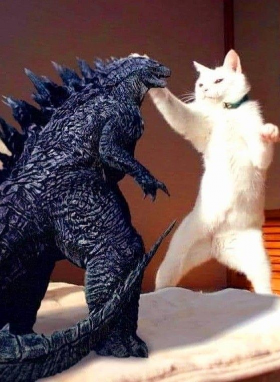 画像タイトル