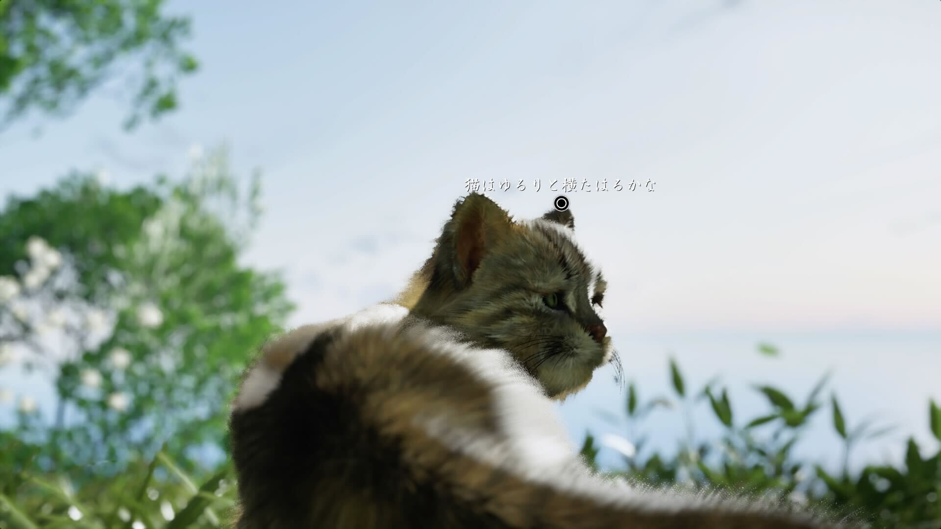 萩野R
