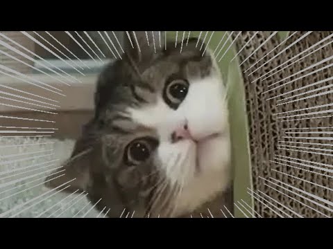 まさひろ販売元２