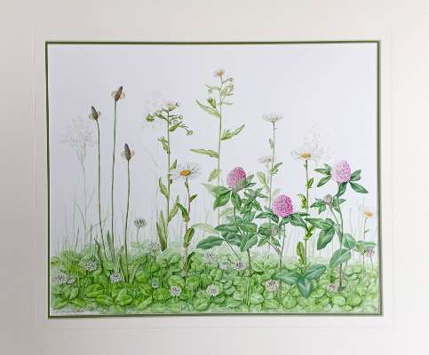 植物画 道新文化センター