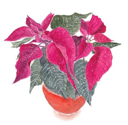 水彩で描くお絵かき教室 午前クラス 道新文化センター