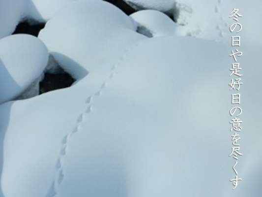 季節を楽しむ俳句 道新文化センター