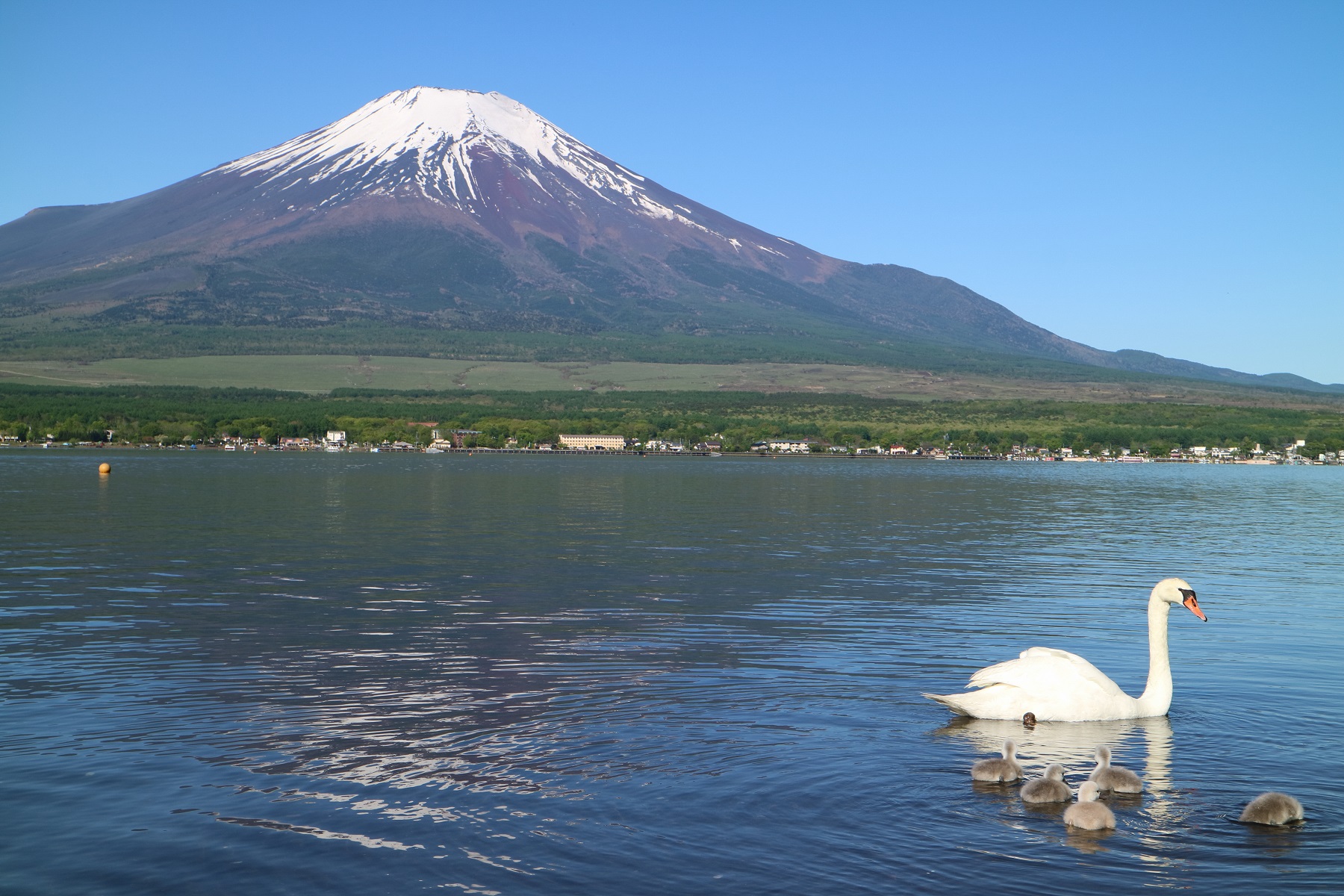 富士麦酒醸造所