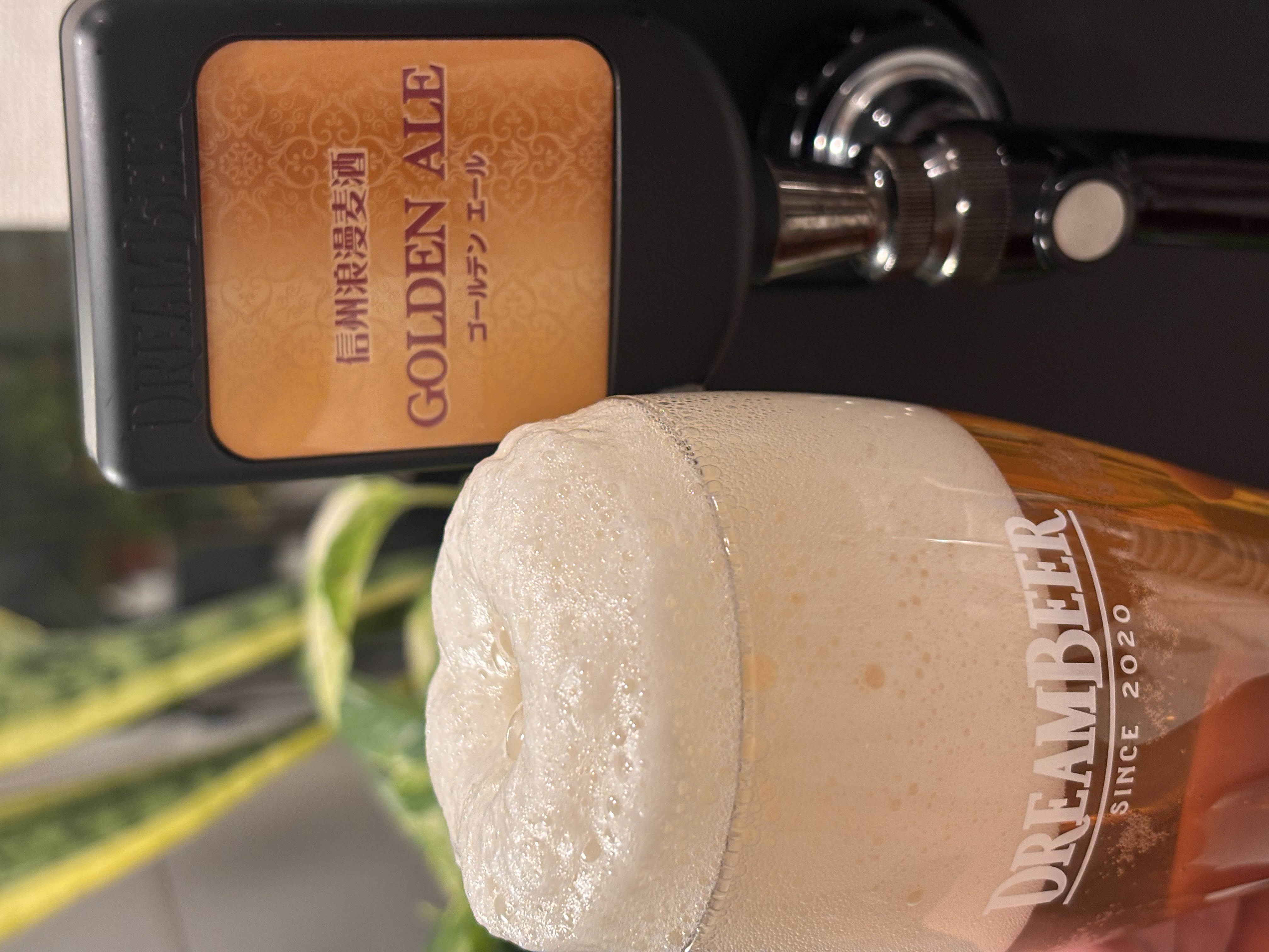 諏訪浪漫ビール 信州浪漫ゴールデンエール｜DREAMBEER(ドリームビア)