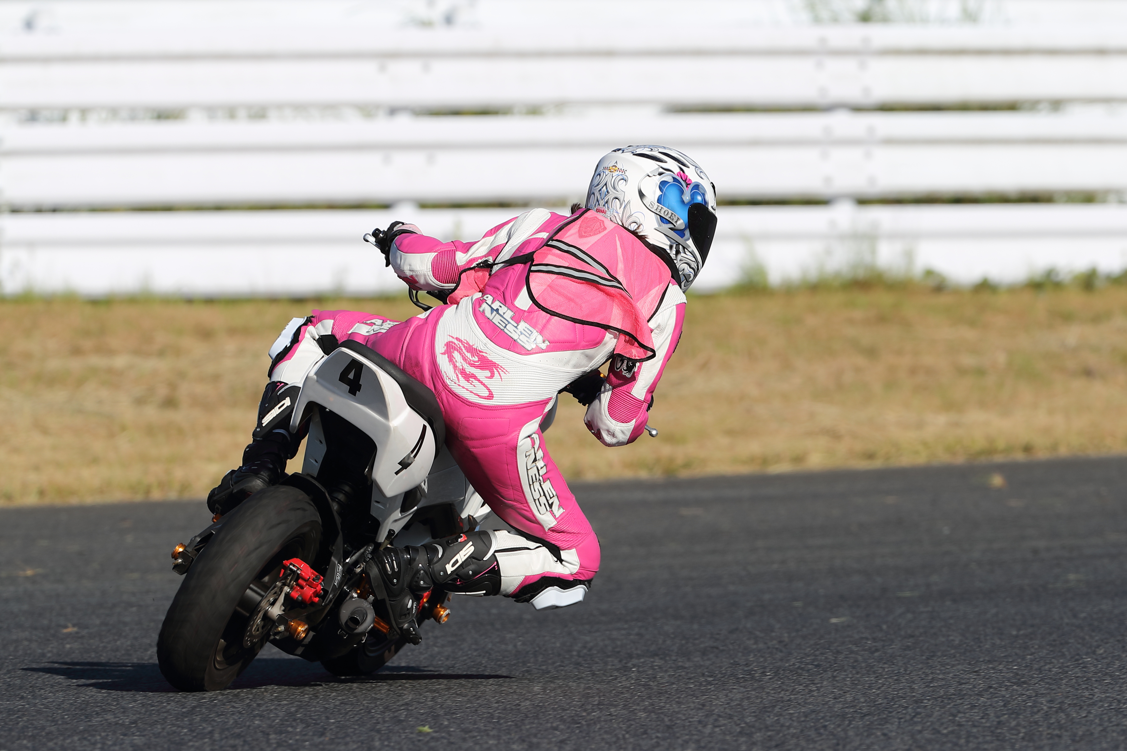 八ヶ岳ビール タッチダウン ファーストダウン｜DREAMBEER(ドリームビア)