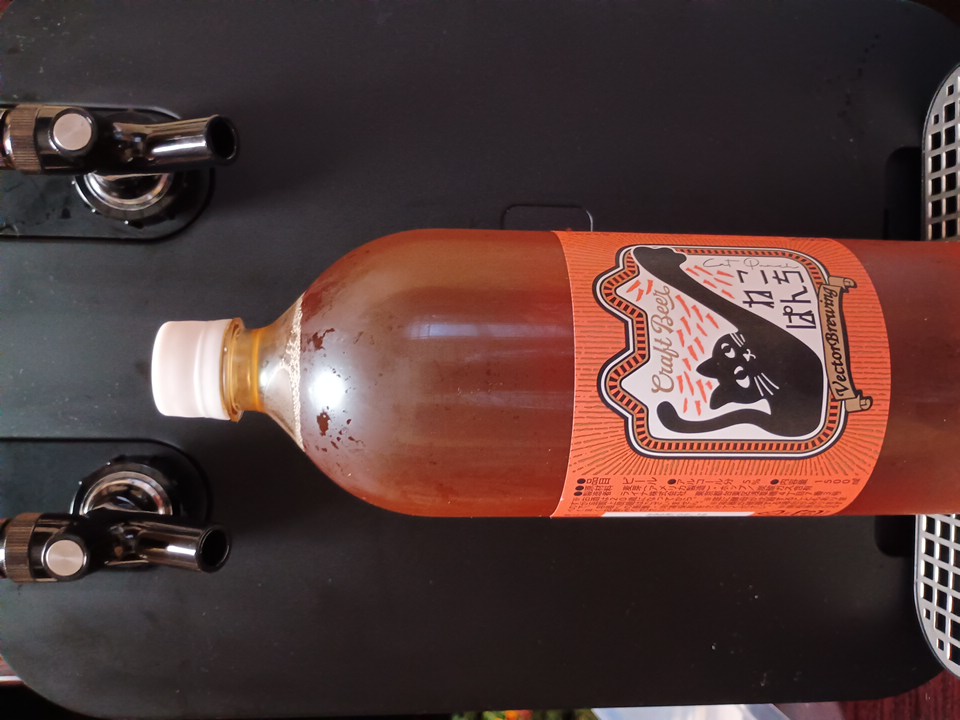 VECTOR BREWING ねこぱんち｜DREAMBEER(ドリームビア)