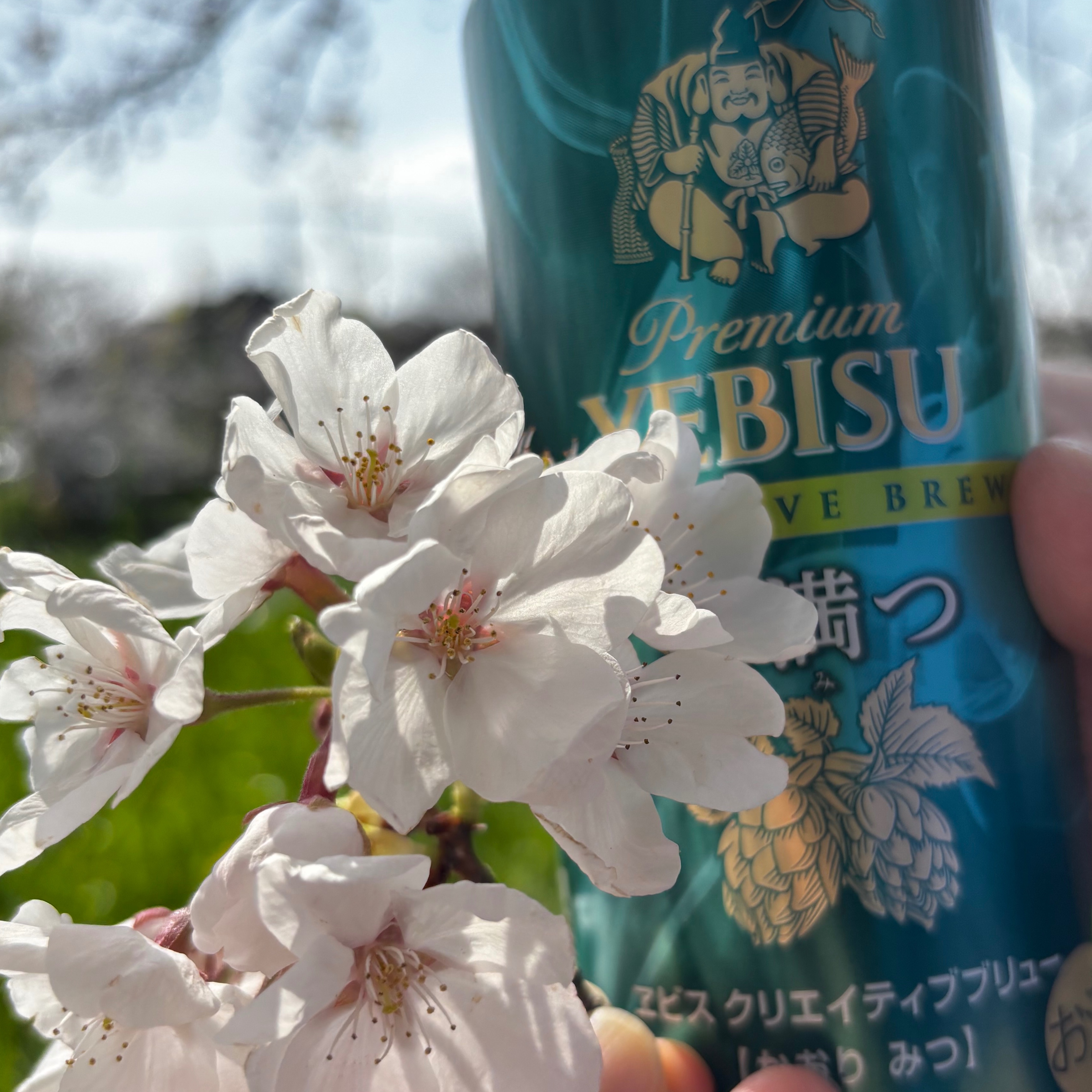 Y.MARKET BREWING ホッピングシャチ｜DREAMBEER(ドリームビア)