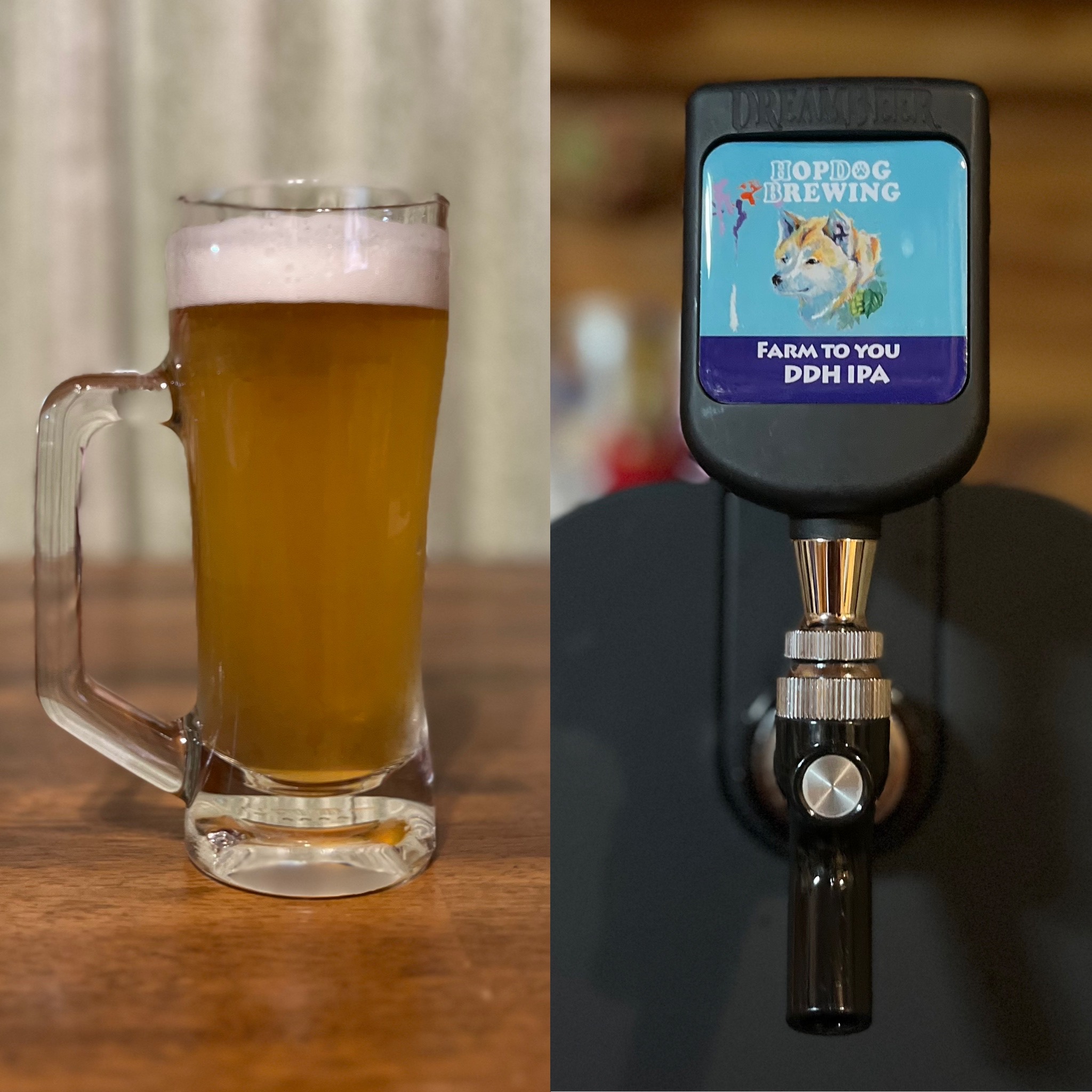 HOPDOG FaRM to YOU DDH IPA｜DREAMBEER(ドリームビア)