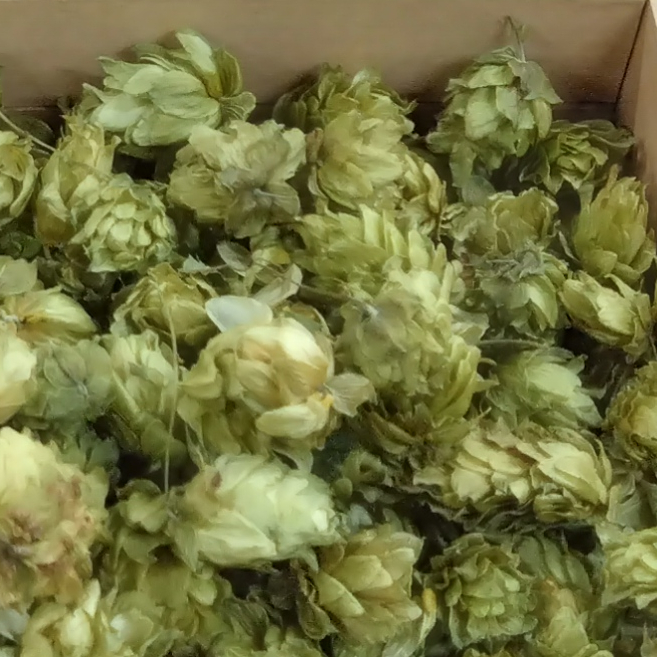 鳴子温泉ブルワリー 鳴子の風山ぶどう｜DREAMBEER(ドリームビア)