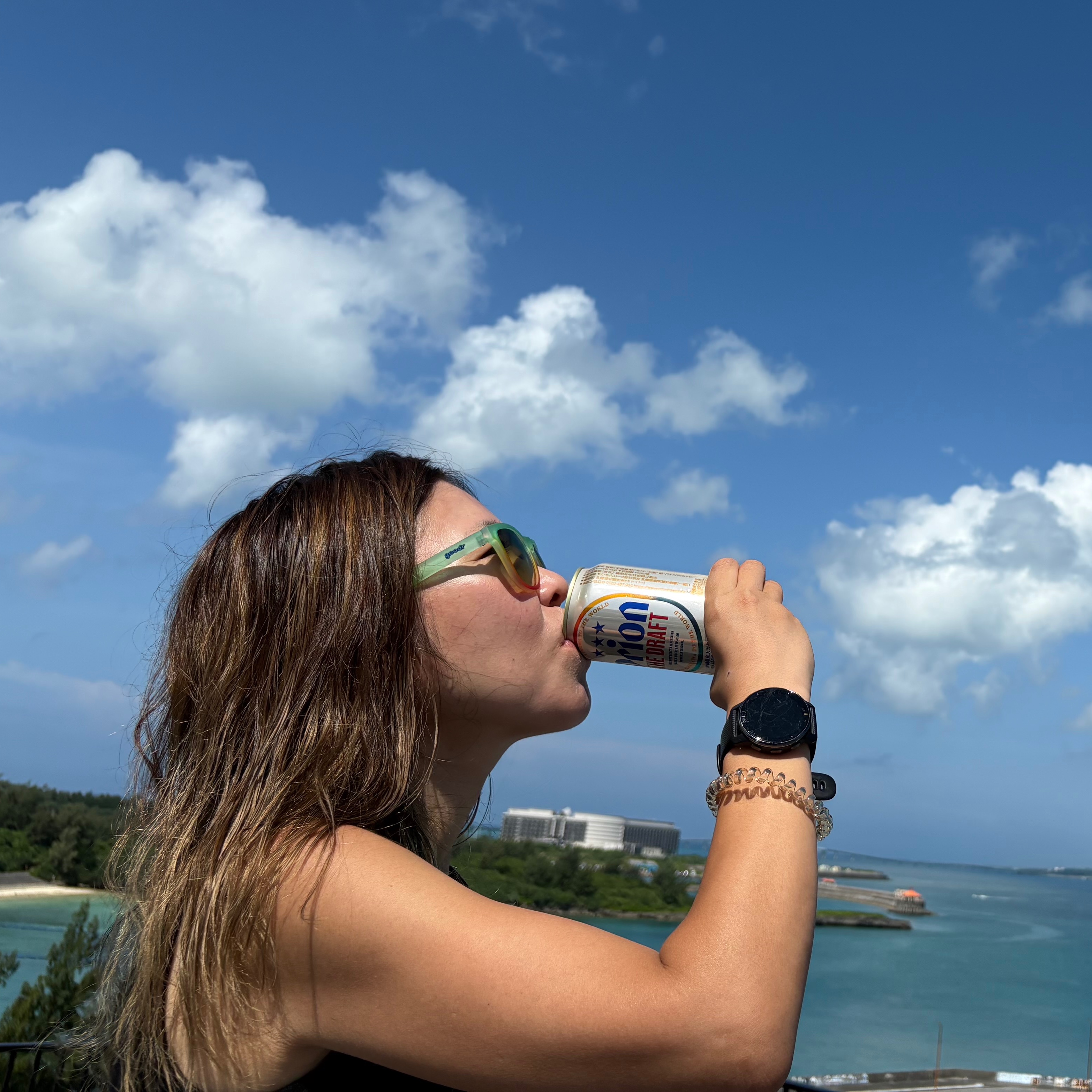 反射炉ビヤ New World Kölsch｜DREAMBEER(ドリームビア)