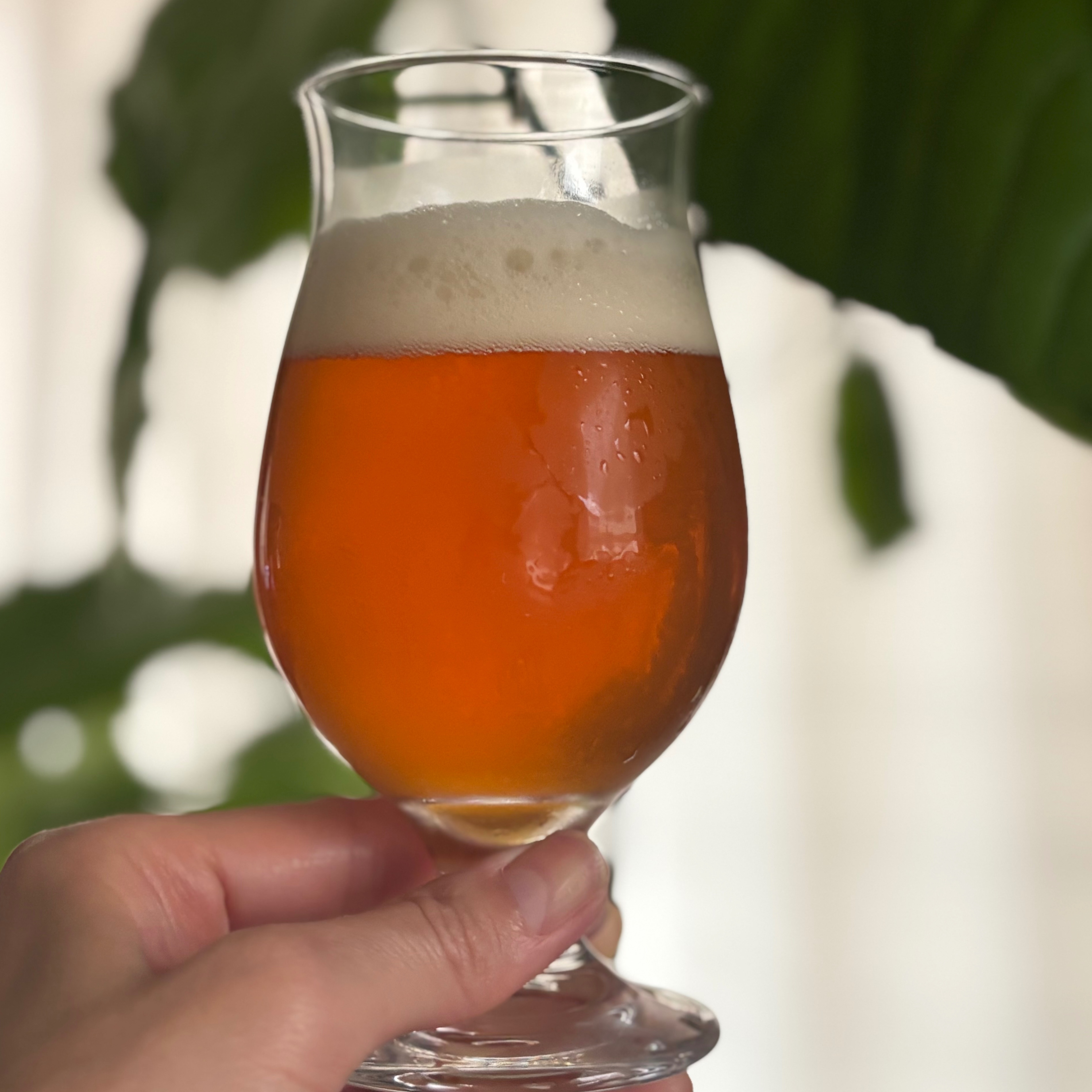 オラホビール アンバーエール｜DREAMBEER(ドリームビア)