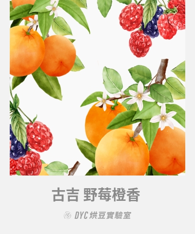 DYC Blend 古吉 野莓橙香  - DYC打咖啡